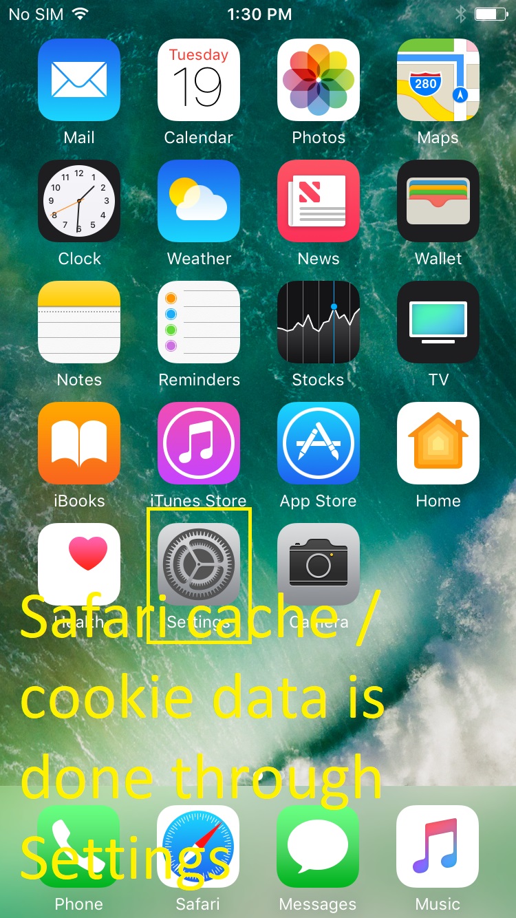IOS device home screen. Settings icon in bottom row of apps, dark gray gears. Text: Safari cache/cookie data is in Settings