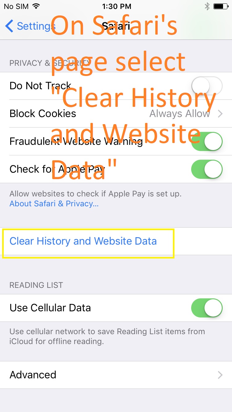 Safari settings screen with blue text midway downs reading 